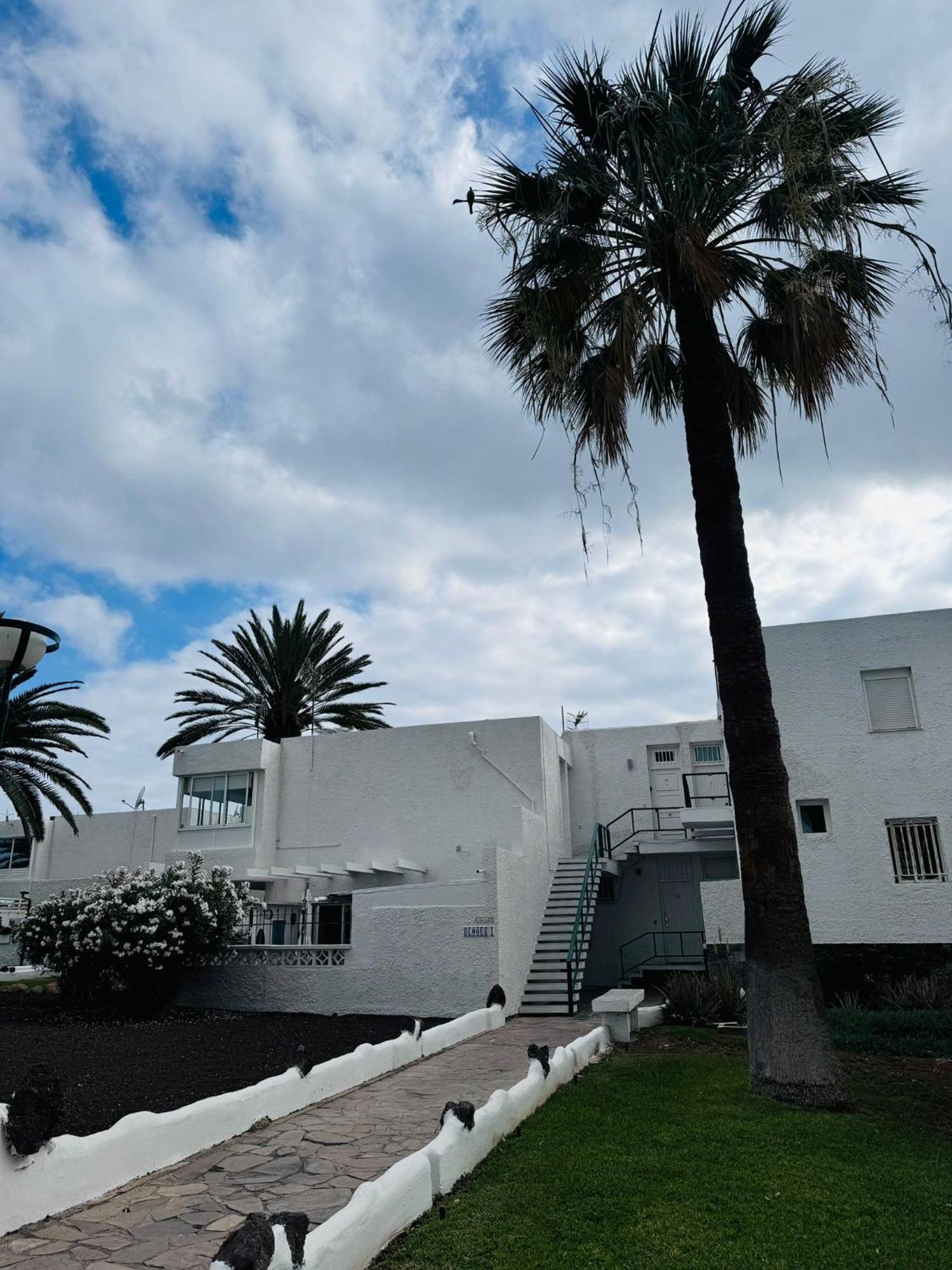 Marysol - Lovely Studio Tenerife Sur Arona  Exterior foto
